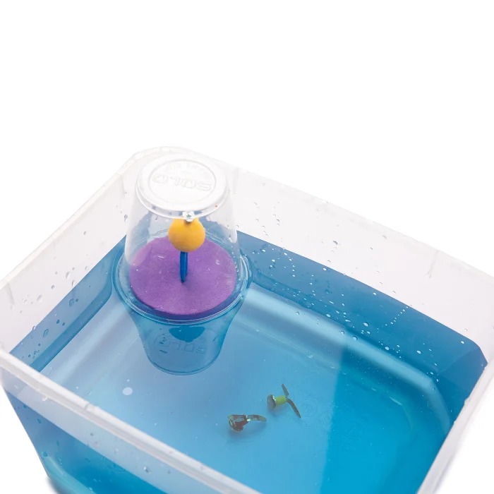 רב חובל בן 15