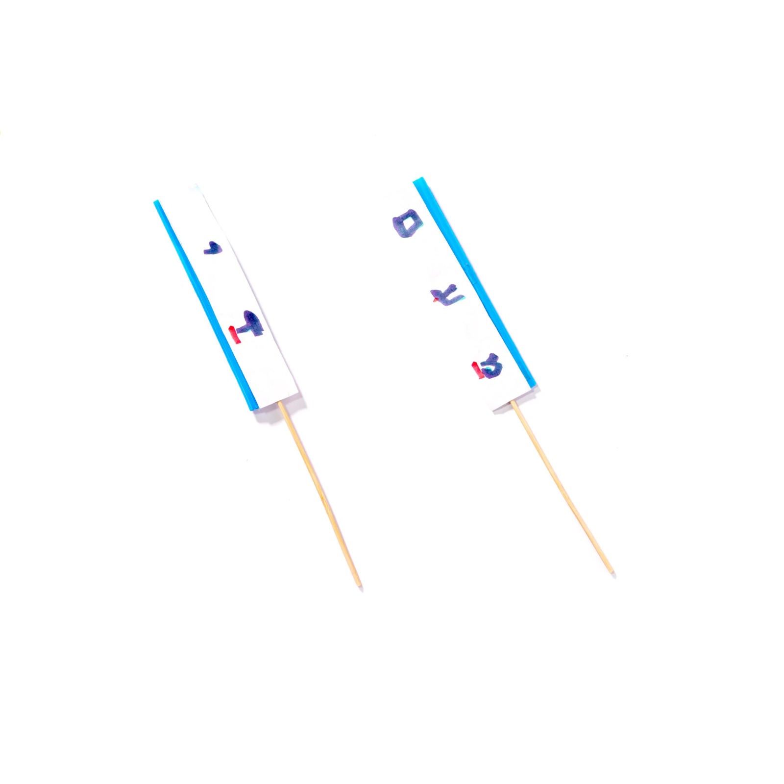 כרטיס ברכה - אנימציה