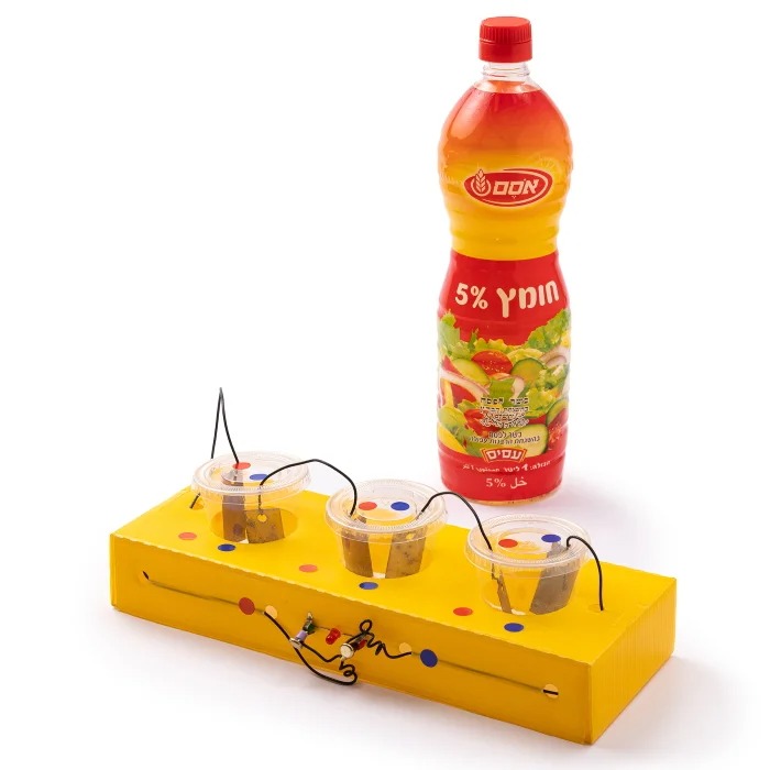 סוללה של וולטה